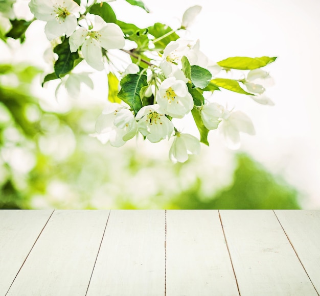 Lente achtergrond met bloemen, groene bladeren en witte lege houten plank