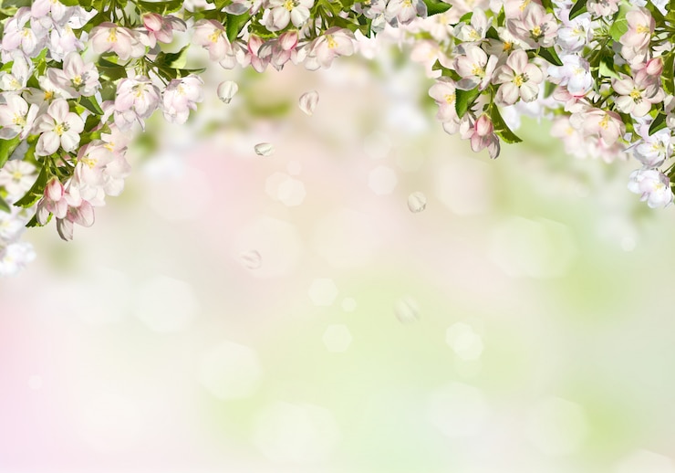 Foto lente achtergrond met een appelboom.