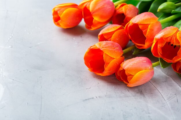 Lente achtergrond met oranje kleurrijke tulpen. vrouwen, moederdag, wenskaart, ruimteafbeelding kopiëren