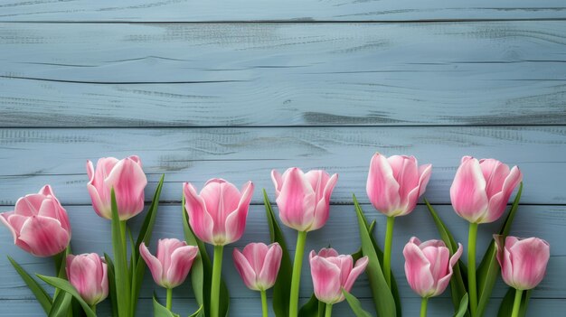 Foto lente achtergrond met roze tulpen