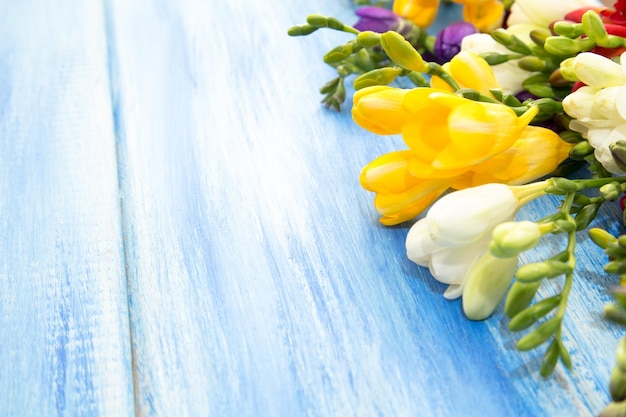 Lente achtergrond Prachtige lente fresia's bloemen op een blauwe houten achtergrond Kleuren zijn wit, rood en blauw Plaats voor tekst close-up