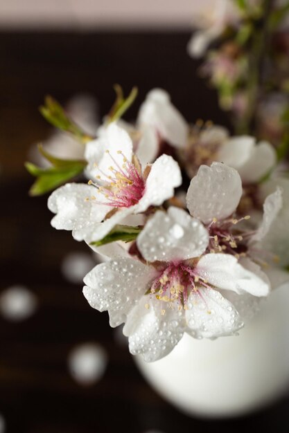 Foto lente amandelbloesems levendige bloemen in volle bloei