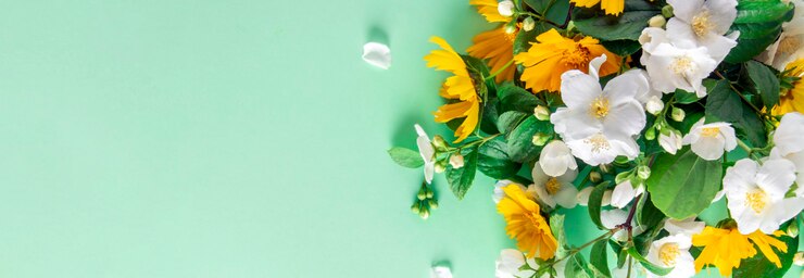 Foto lente banner. bloem frame op mint achtergrond, bovenaanzicht.
