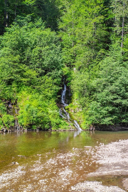 Lente berg rivier met stenen in de buurt van het groene bos x9xA