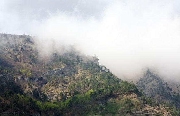 Lente bewolkt uitzicht op de helling van Aj-Petri Mount (trail Botanical, Crimea, Oekraïne)