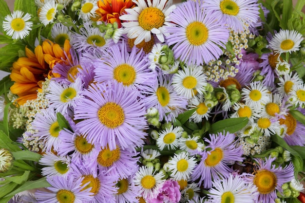 Lente bloemen achtergrond close-up Mooie bloem abstracte achtergrond van de natuur