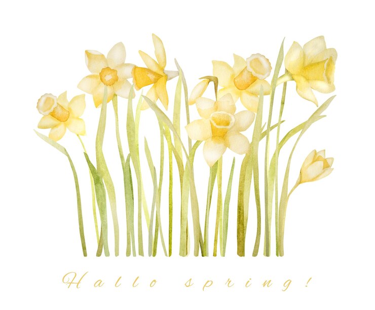 Foto lente bloemen aquarel schilderijen