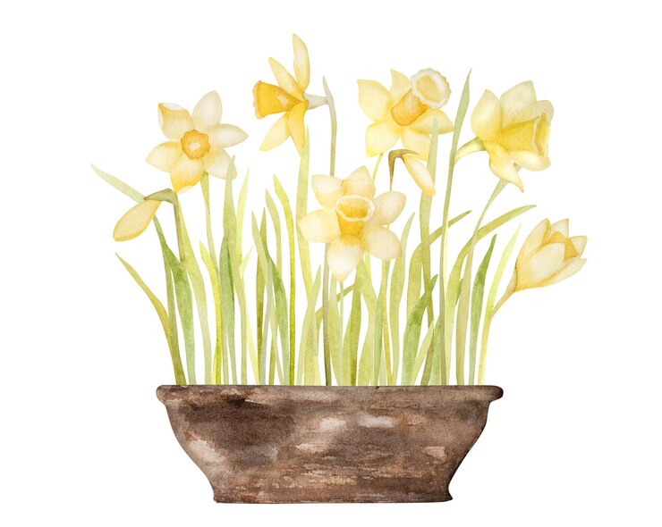 Foto lente bloemen aquarel schilderijen