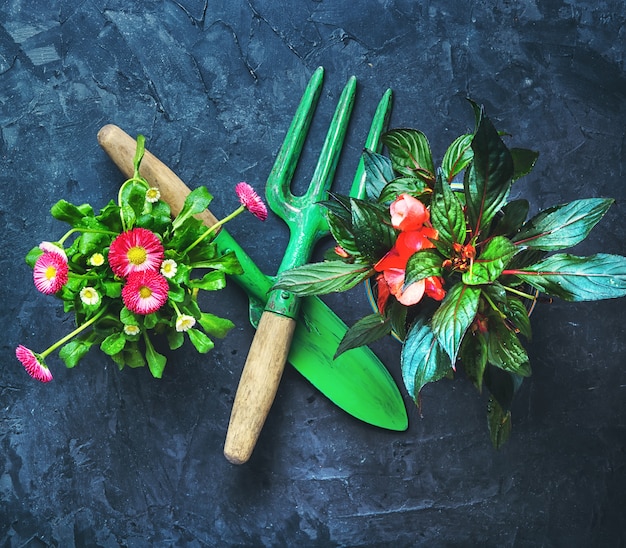 Lente bloemen en tuingereedschap