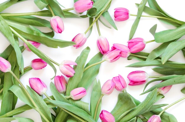 Lente bloemen. Lente achtergrond. Wenskaart voor Valentijnsdag Vrouwendag en Moederdag.