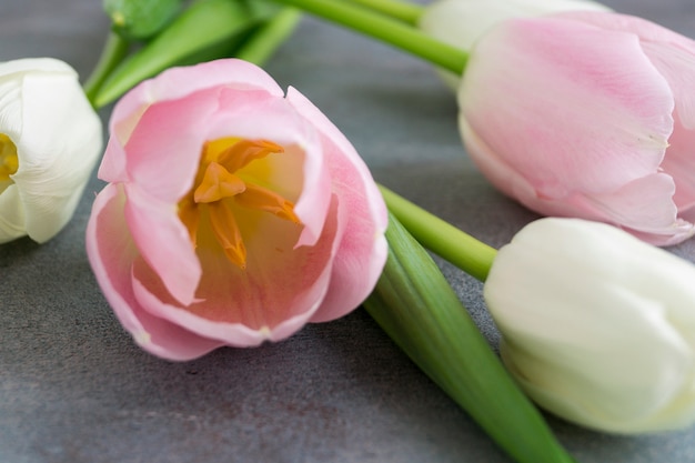 Lente bloemen. Roze bloeiende tulpen dicht omhoog.