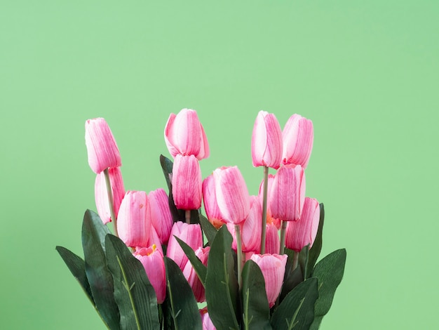 Lente bloemen. Roze tulp op groene achtergrond