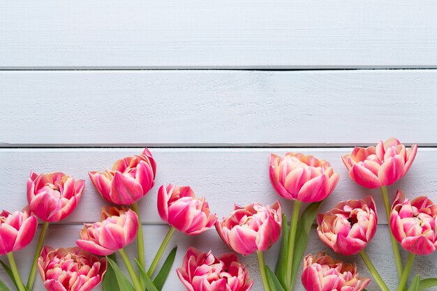 Lente bloemen tulpen op pastel kleuren achtergrond.