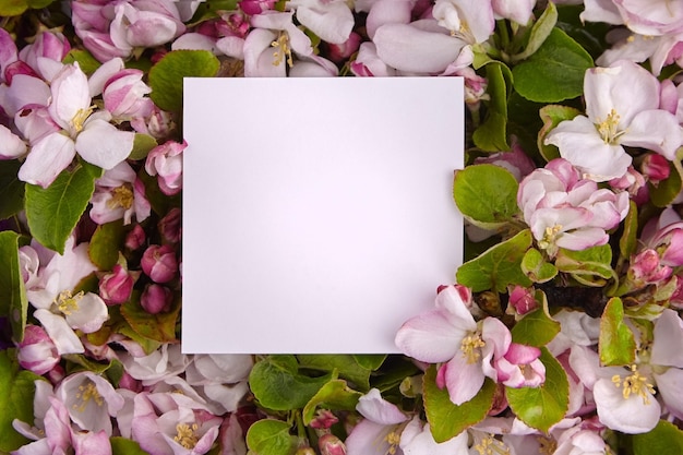 Lente Bloemenrand, blanco papier kaart, takken van de appelboom met roze en witte bloemen en groene bladeren frame. Florale achtergrond, bovenaanzicht. Lente bloesem