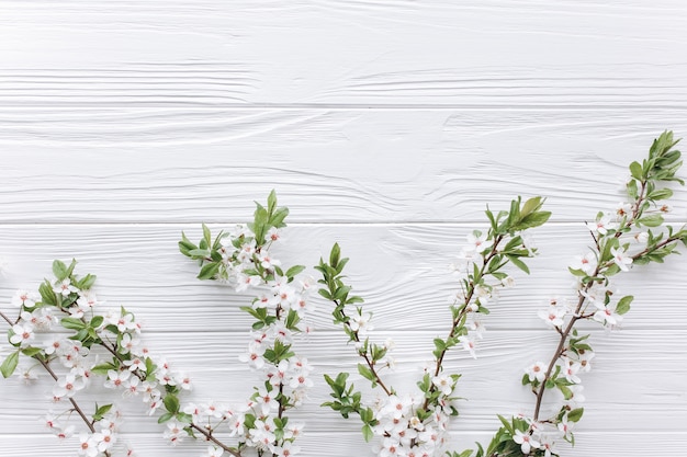 lente bloesems op houten achtergrond