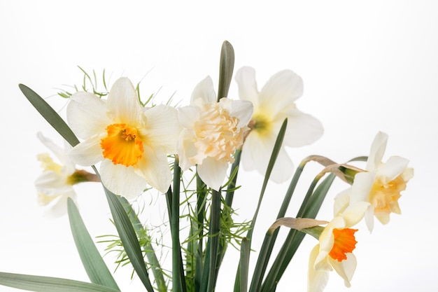 Lente boeket van delicate bloemen narcissen close-up op een witte backgroundEaster Mother's Valentines Women's Wedding Day concept