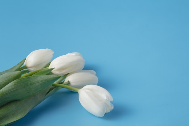 Lente boeket van witte tulpen