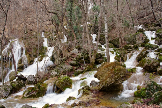 Lente bos waterval met veel beekjes