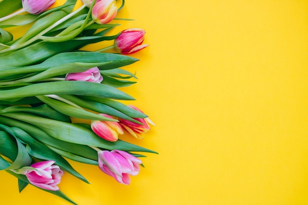 Lente concept. Roze en rode tulpen op gele achtergrond. Ruimte kopiëren, plat leggen.