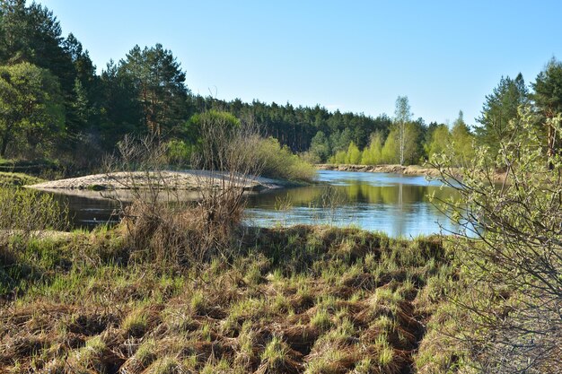 Lente De rivier in het nationale park Ryazan Meschera