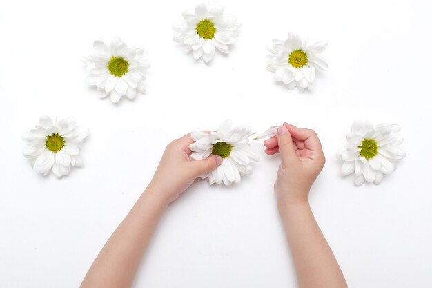 Lente frame van kleine bloemen en madeliefje bloemstuk