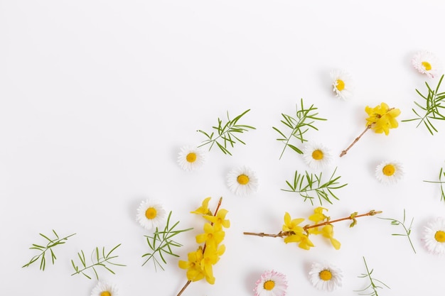 Lente frame van kleine bloemen en madeliefje bloemstuk