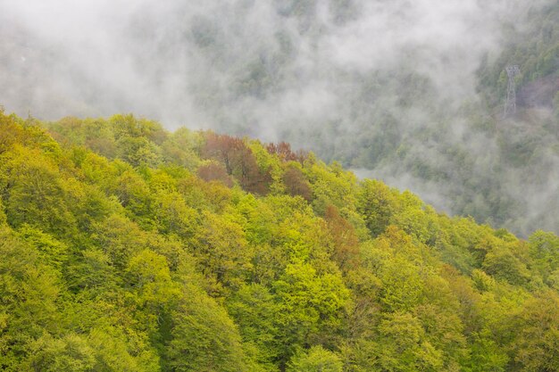 Lente groene bergen in wolken en mist Het concept is om boven de wolken te zijn