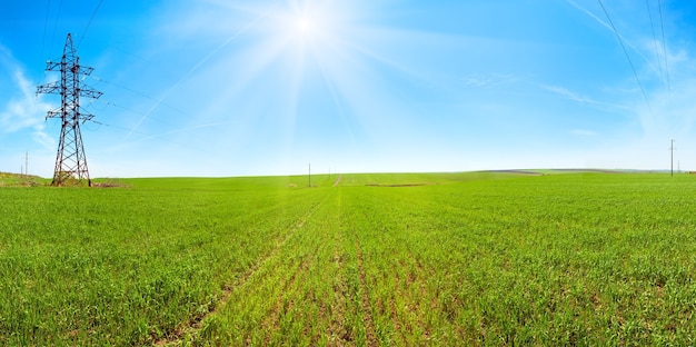 Lente groene granen veld ochtendpanorama, blauwe lucht met zonneschijn patch en vliegtuig sporen