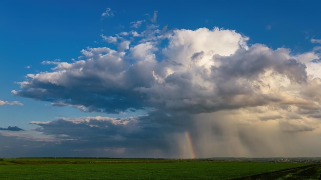 Lente groene veld blauwe lucht met wolken