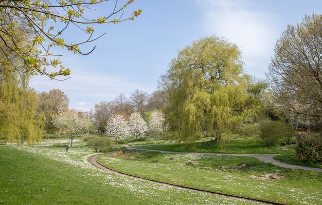 Lente in Festfalenpark Dortmund Duitsland