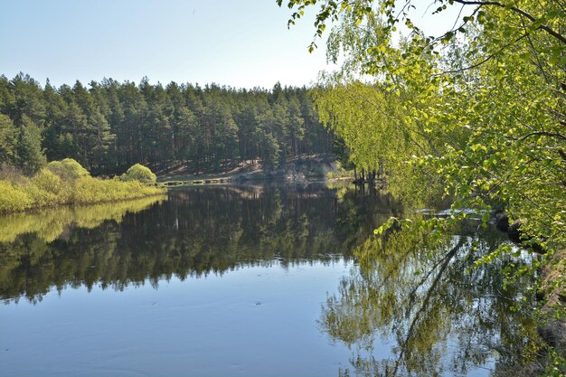 Lente in het nationale park