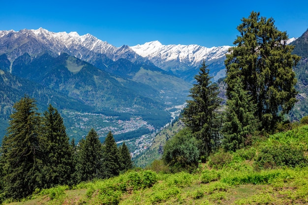 Lente in Kullu vallei in de bergen van de Himalaya. Himachal Pradesh, India