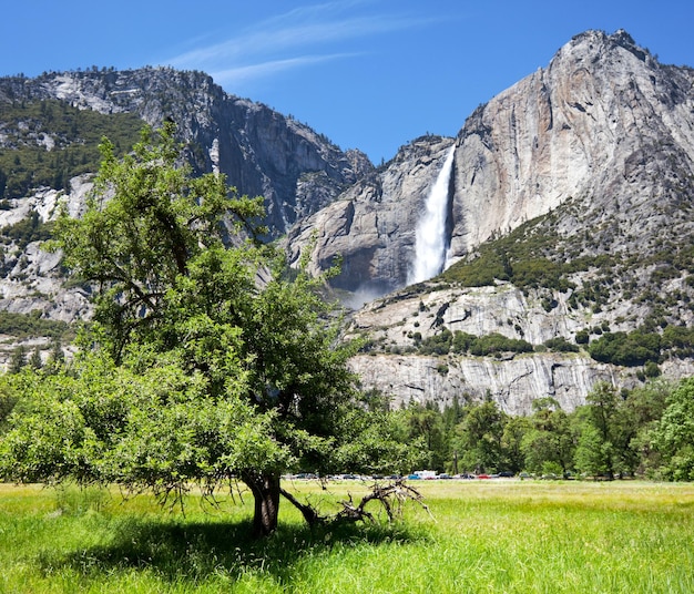 Lente in Yosemite