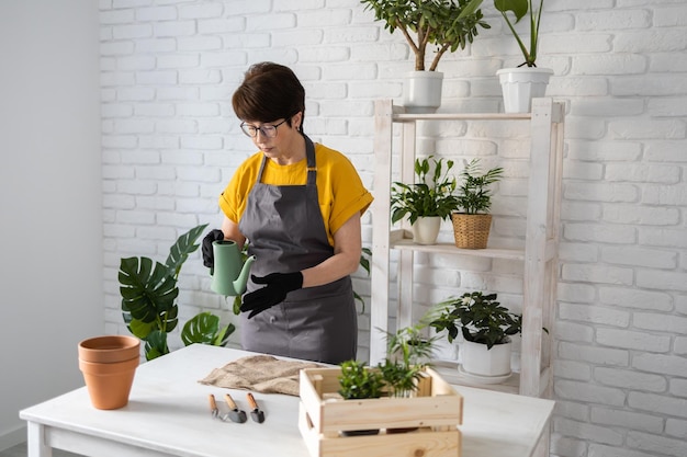 Lente kamerplant verzorging kamerplanten verpotten Kamerplanten wakker maken voor de lente Vrouw van middelbare leeftijd plant de plant thuis in een nieuwe pot Tuinman transplantatie plant Spathiphyllum