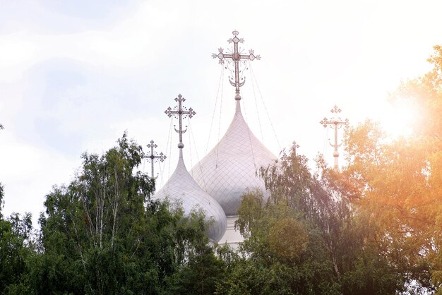 Lente kathedraal zonsondergang boom