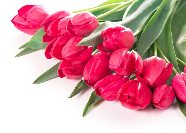 Lente kleur tulpen in een boeket met roze, rode mooie bloemen geïsoleerd op wit