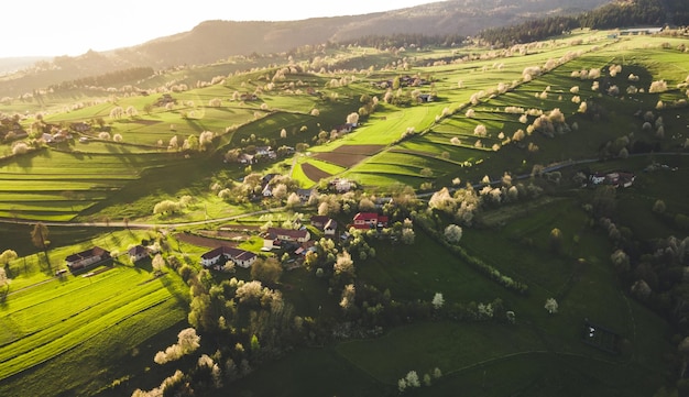 Lente landschap in Slowakije Polana regio Hrinova Groene lente landelijke heuvels landschap velden bloeiende bomen biologische landbouw