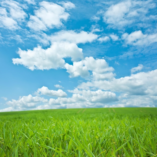 Lente landschap landschap schoonheid in natuur landschappen en milieu concept