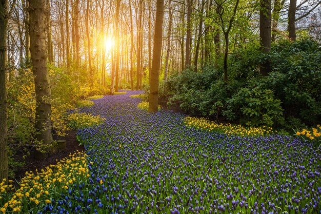 Lente landschap met prachtige bloemen in hout