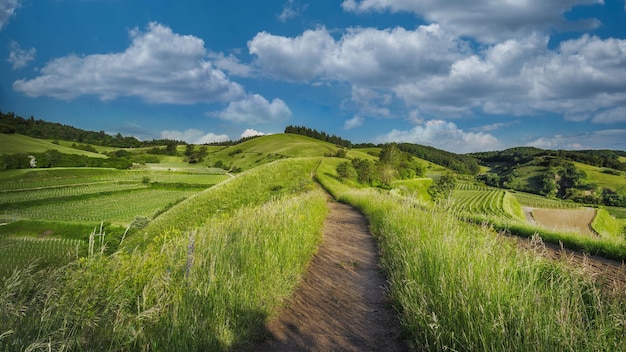 Foto lente landschap met russische kaukasus groene bergen