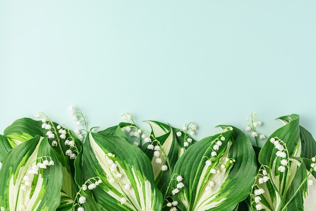 Lente lelietje-van-dalen bloemen op pastelblauw oppervlak