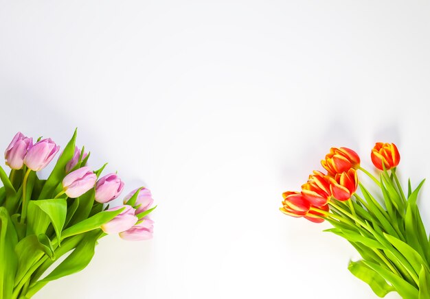 Lente mooie tulp bloemen op witte achtergrond. Moederdag, wenskaart feestelijke decoratieve bloemensamenstelling.