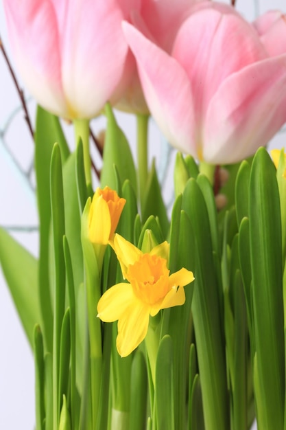 Lente narcissen decoratie delicate achtergrond selectieve soft focus