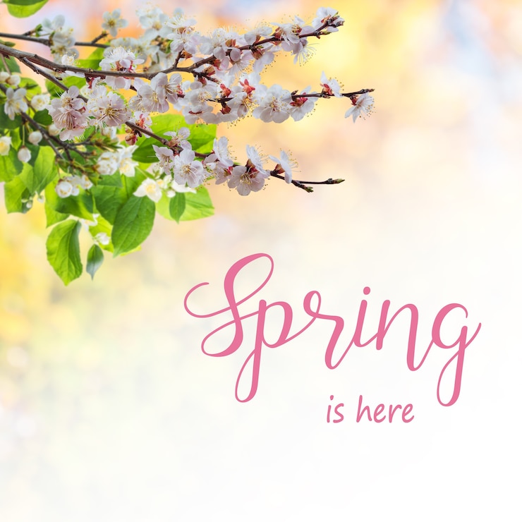 Foto lente natuur achtergrond met abrikozenbloemen op tak en hand belettering tekst spring hier in