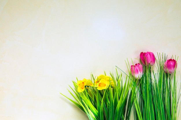 Lente natuur achtergrond met mooie bloesem roze tulpen en gele daisys heldere pastelkleur backg