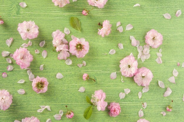 Lente of zomer natuur achtergrond Roze amandel bloem Bud blad en bloemblaadje op groene houten