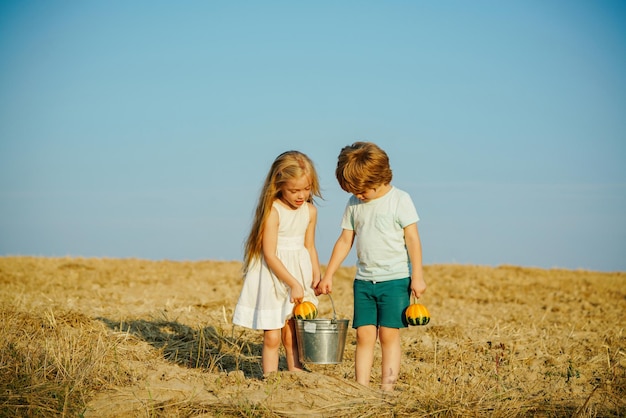 Lente of zomer voor kinderen op de boerderij peuter leeftijd zomer op het platteland actieve familie leisu