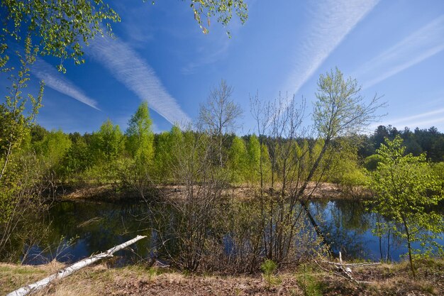 Lente op de bosrivier