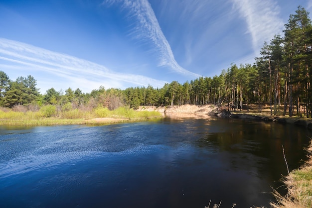 Lente op de bosrivier