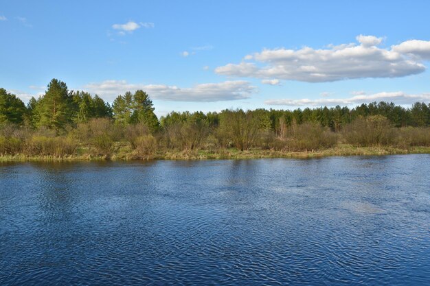 Lente op de rivier